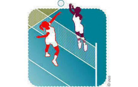 Volley Minimes (4ème/3ème)